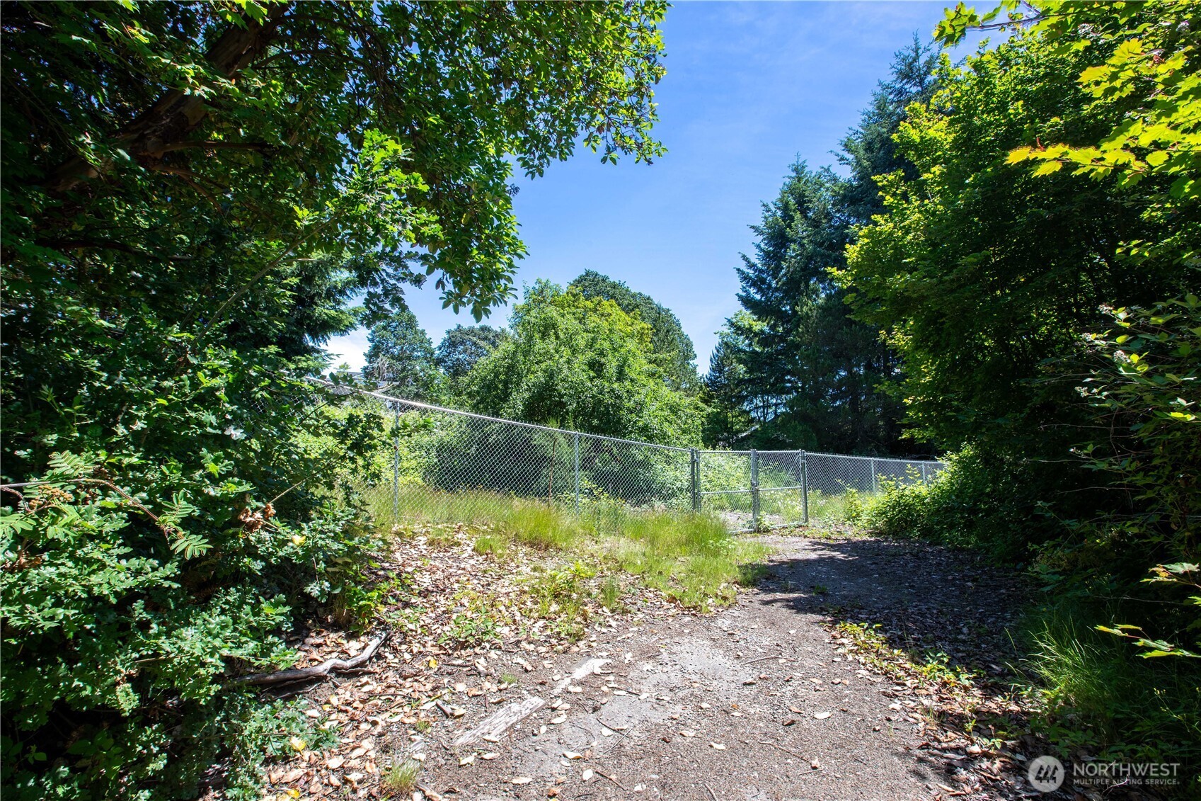 1236 Marvin Road Southeast Lacey, WA 98513 - Photo 4 of 8