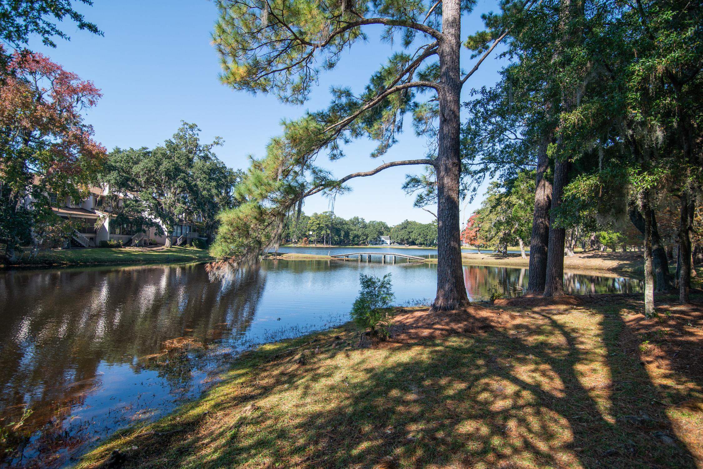 117 Finch Drive, Unit 272 Georgetown, SC 29440 - Photo 46 of 92