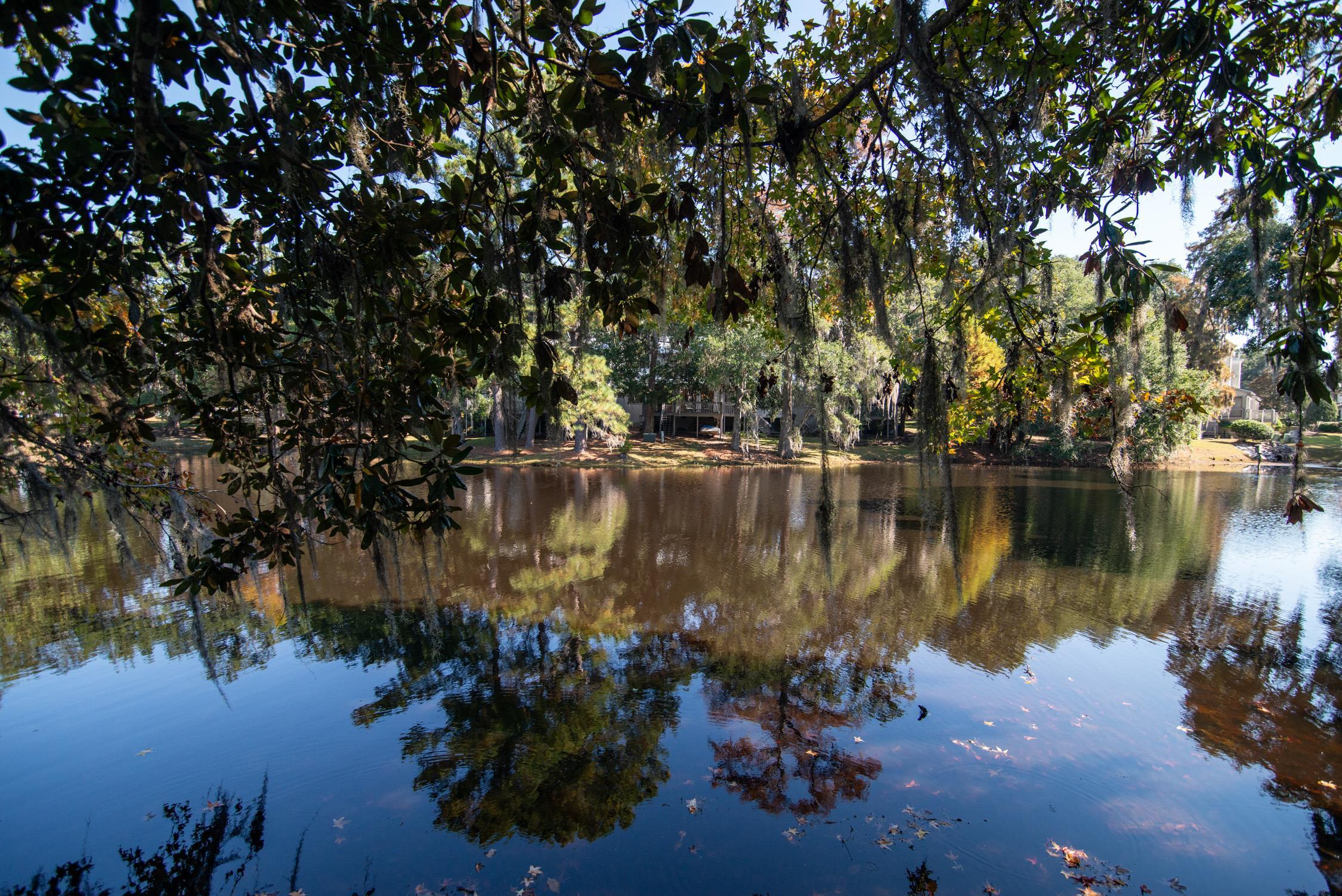 117 Finch Drive, Unit 272 Georgetown, SC 29440 - Photo 48 of 92