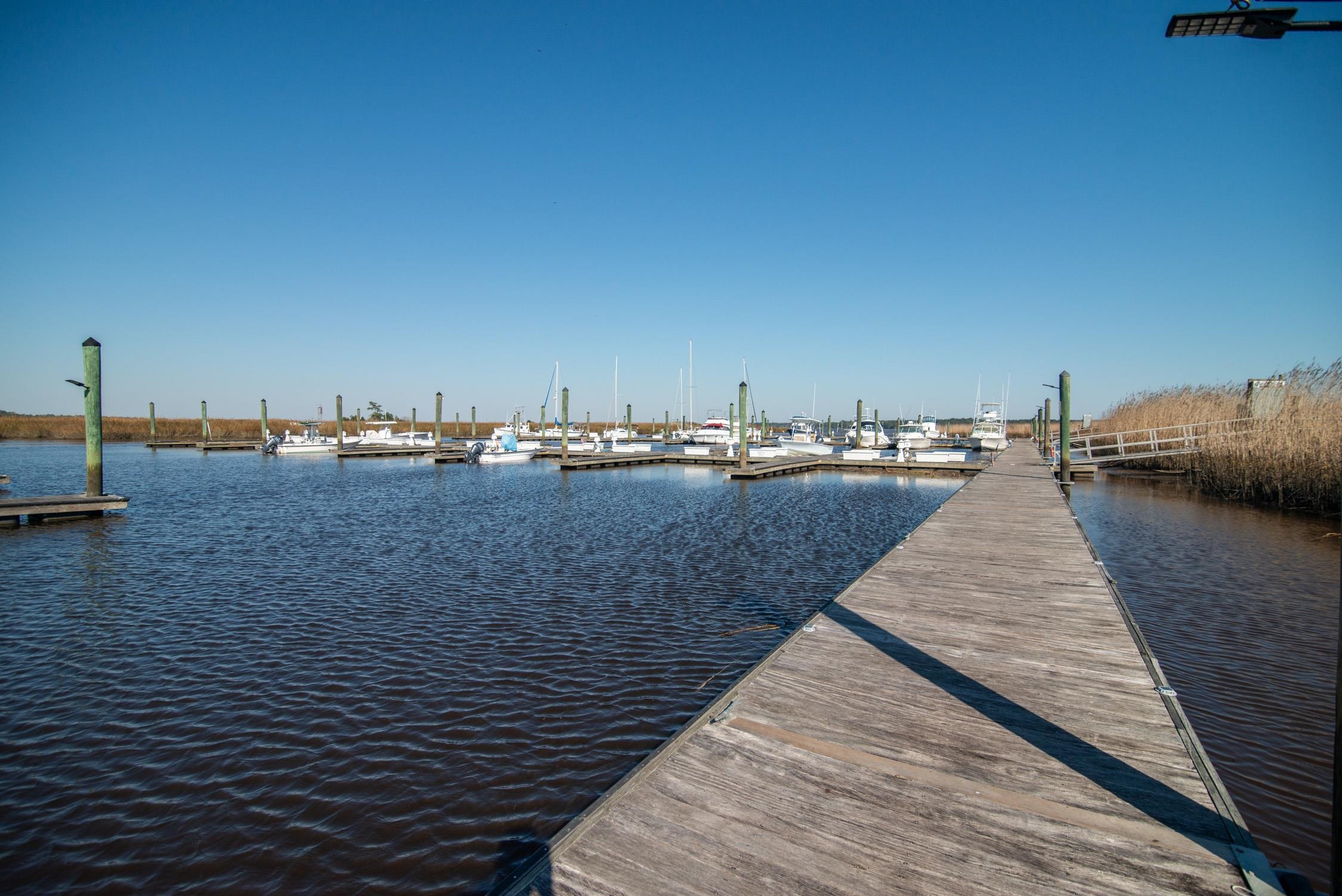 117 Finch Drive, Unit 272 Georgetown, SC 29440 - Photo 56 of 92