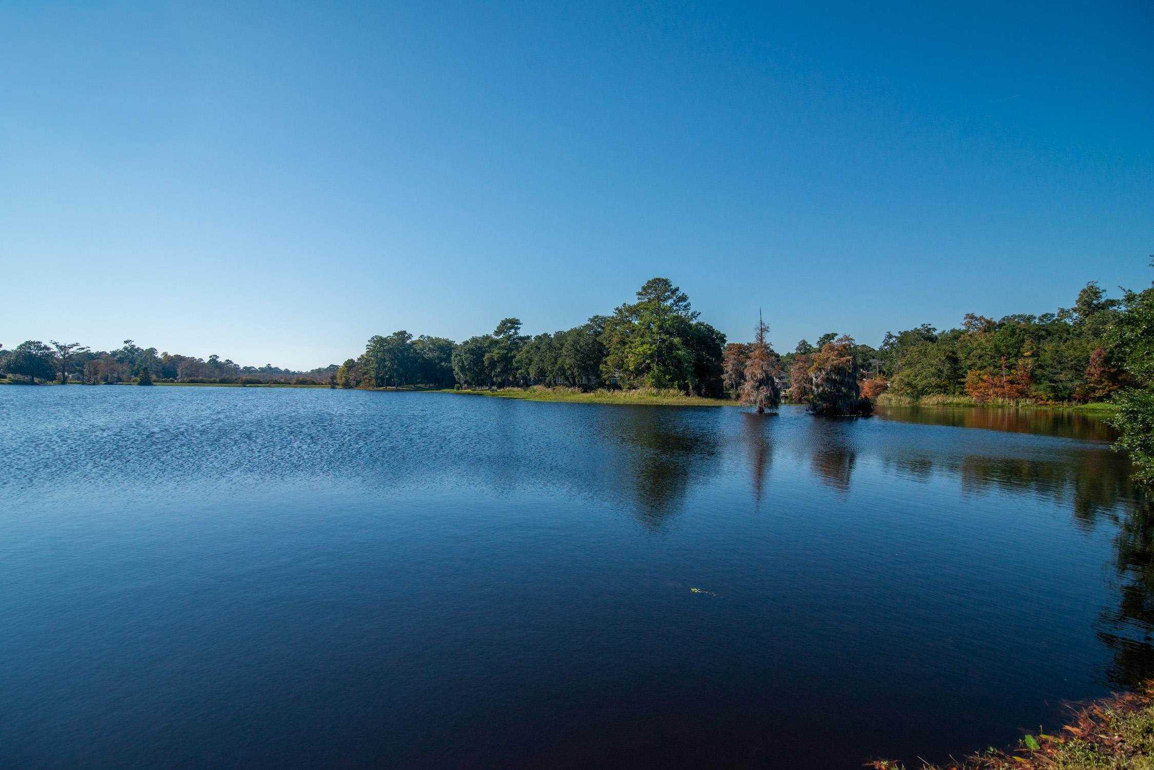 117 Finch Drive, Unit 272 Georgetown, SC 29440 - Photo 60 of 92