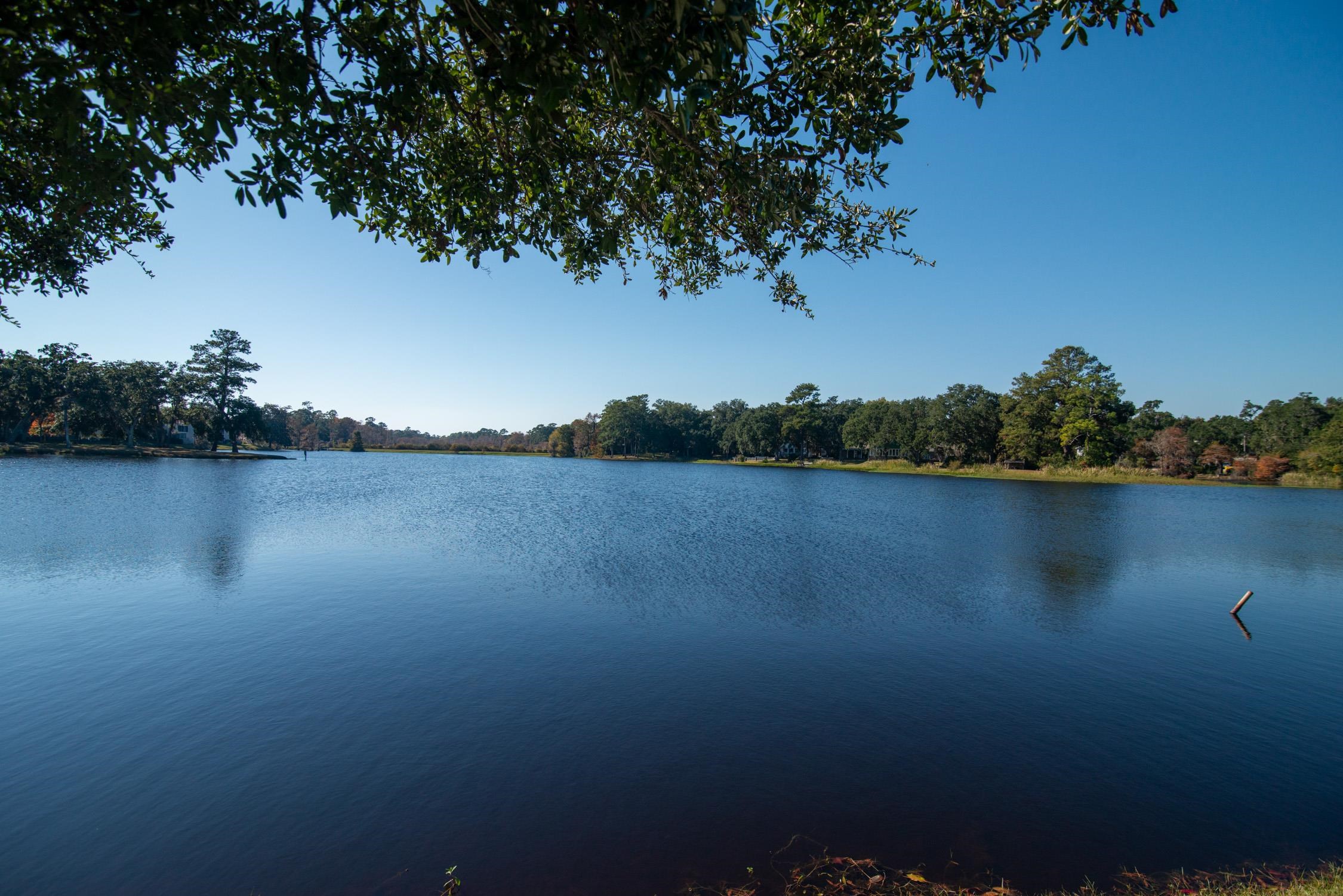 117 Finch Drive, Unit 272 Georgetown, SC 29440 - Photo 62 of 92