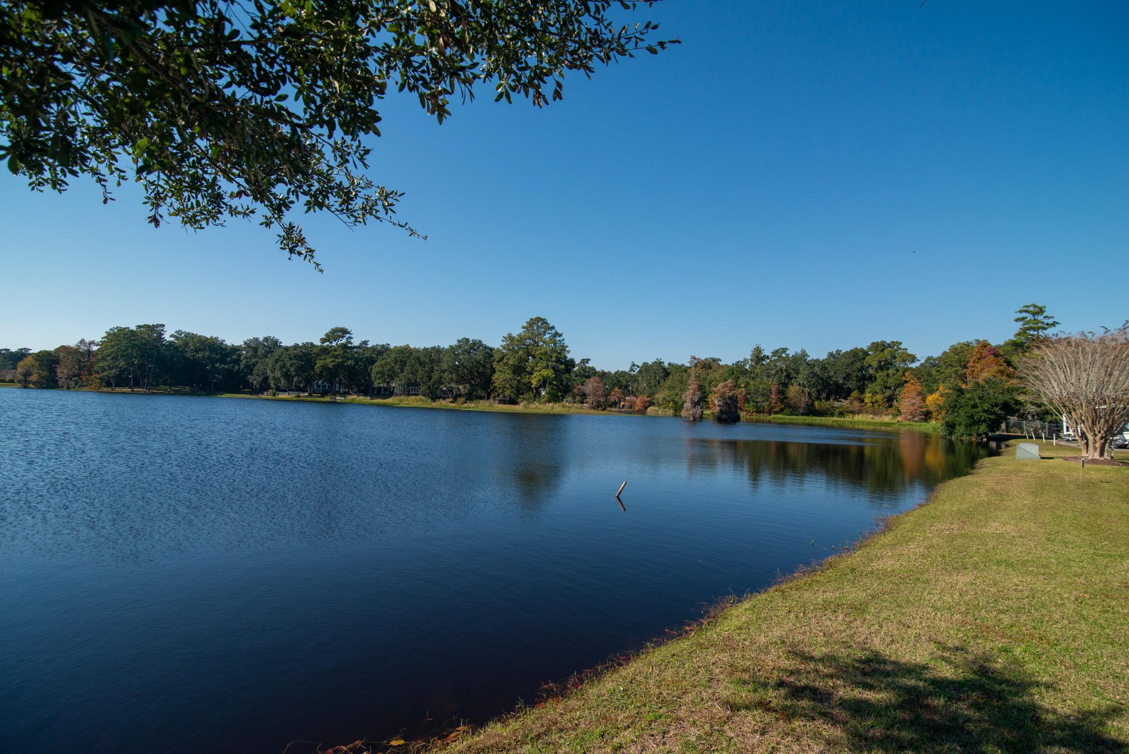 117 Finch Drive, Unit 272 Georgetown, SC 29440 - Photo 63 of 92