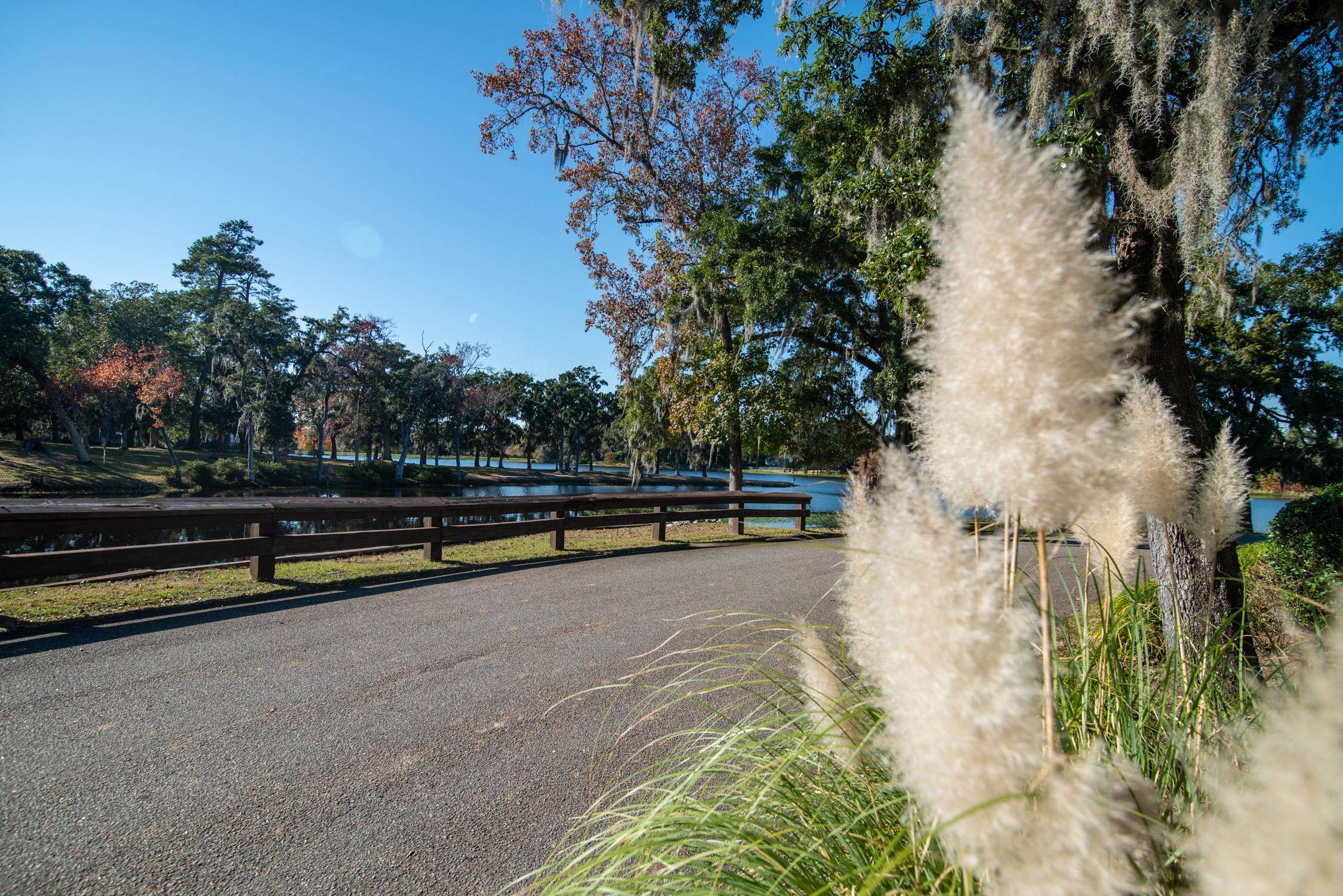 117 Finch Drive, Unit 272 Georgetown, SC 29440 - Photo 76 of 92