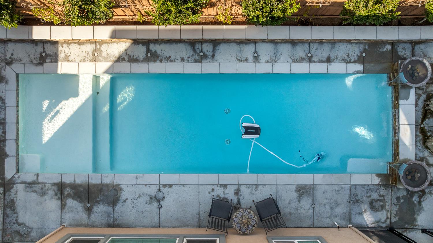 2305 Augusta Avenue Tracy, CA 95377 - Photo 63 of 91 a living room with a couch and a potted plant