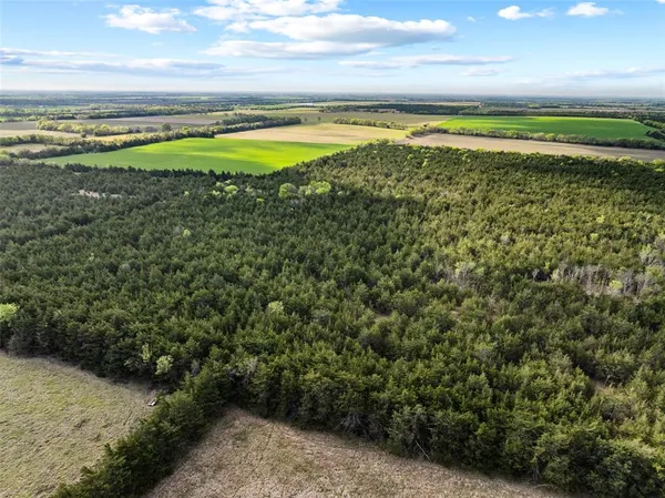 $389,000 | 198 St Cooper Tx 75432, Cooper, TX 75432