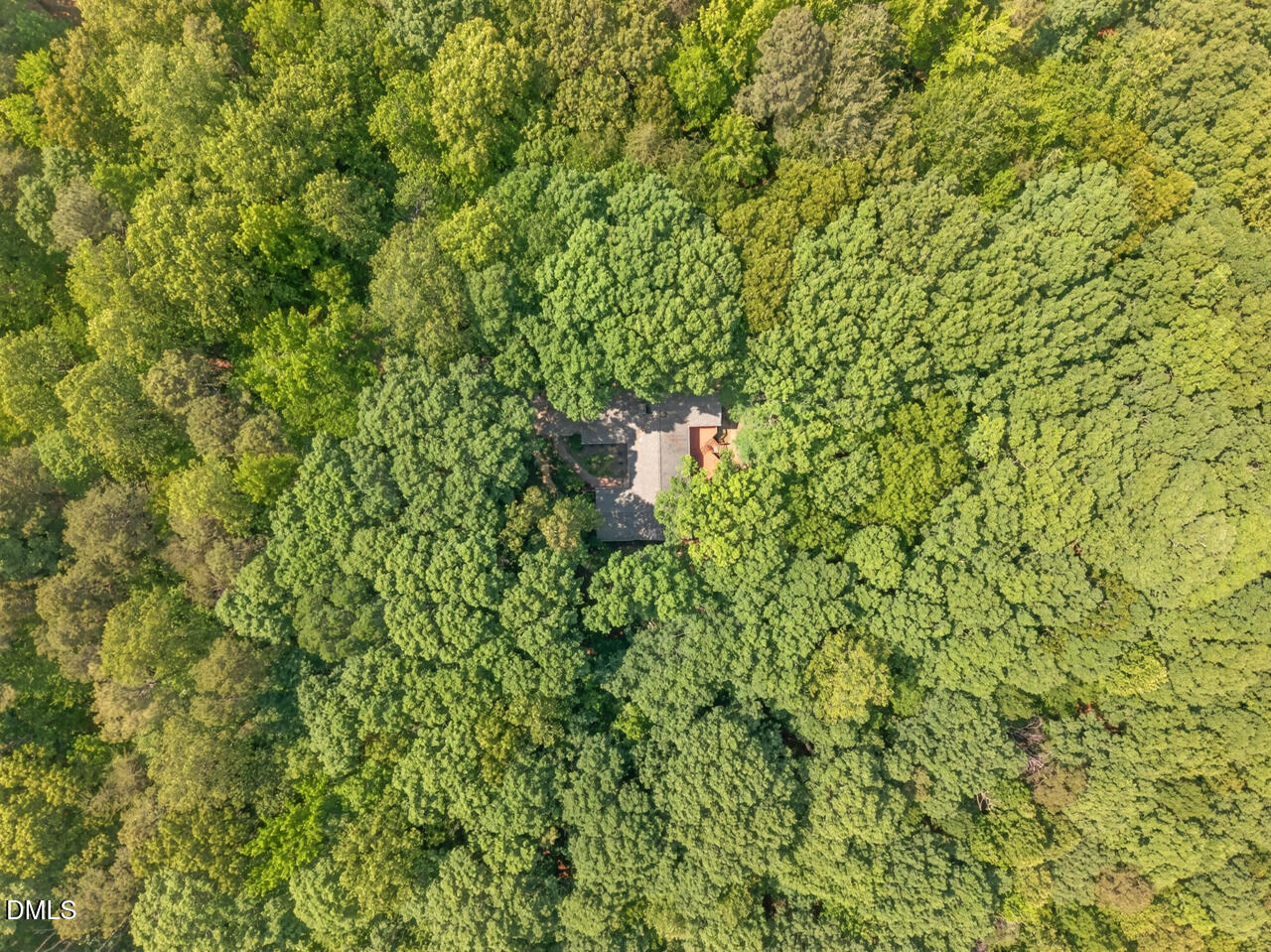 405 Lookout Point Rougemont, NC 27572 - Photo 49 of 62