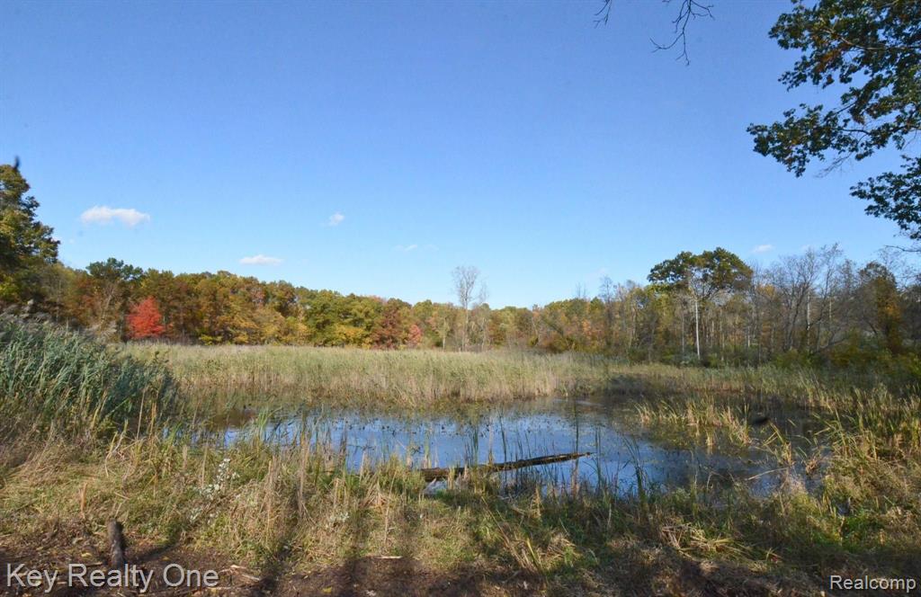 10700 Clark Road Davisburg, MI 48350 - Photo 1 of 23 Gallery Image 1