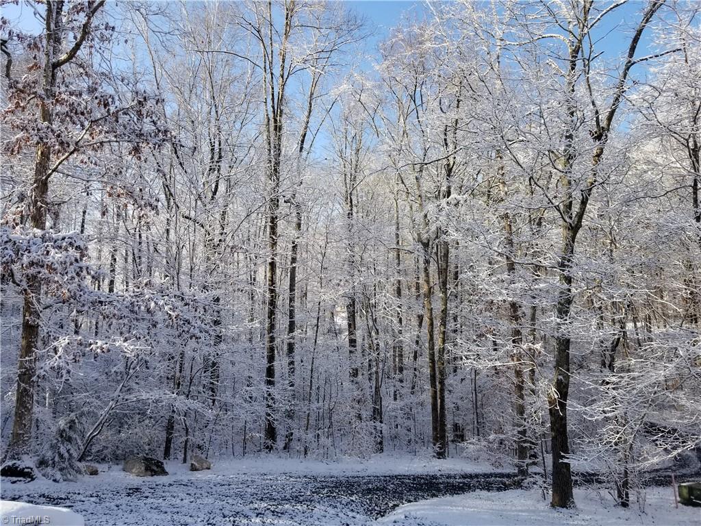 7329 Lassiter Mill Road Asheboro, NC 27205 - Photo 50 of 50 Gallery Image 50