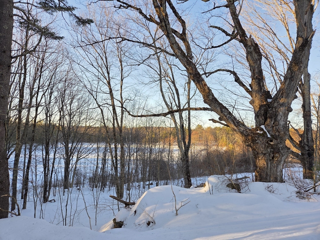 Lot 4 Petersham Road Petersham, MA 01366 - Photo 36 of 36