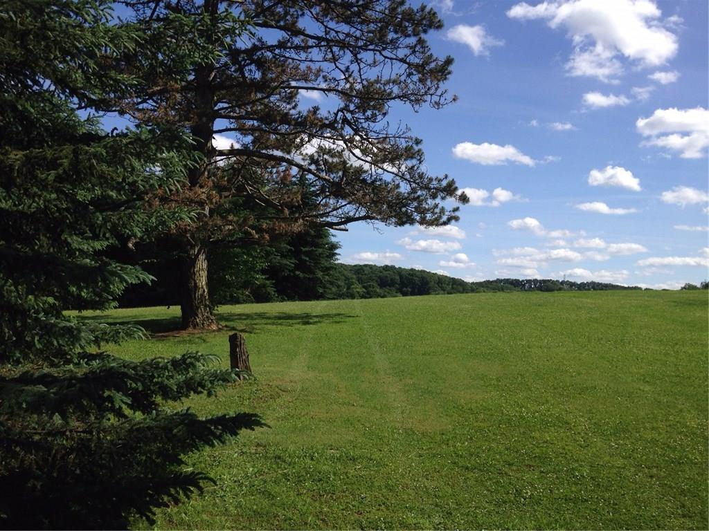 378 Star Grille Road Butler, PA 16002 - Photo 13 of 25 perfect yard