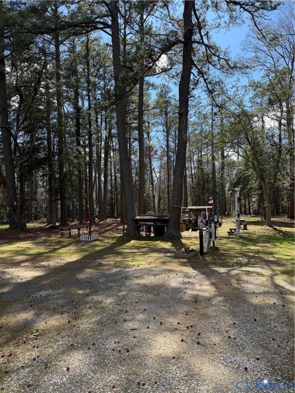 a view of a playground with a tree