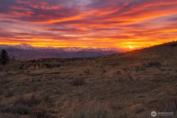 a view of a lush green hillside