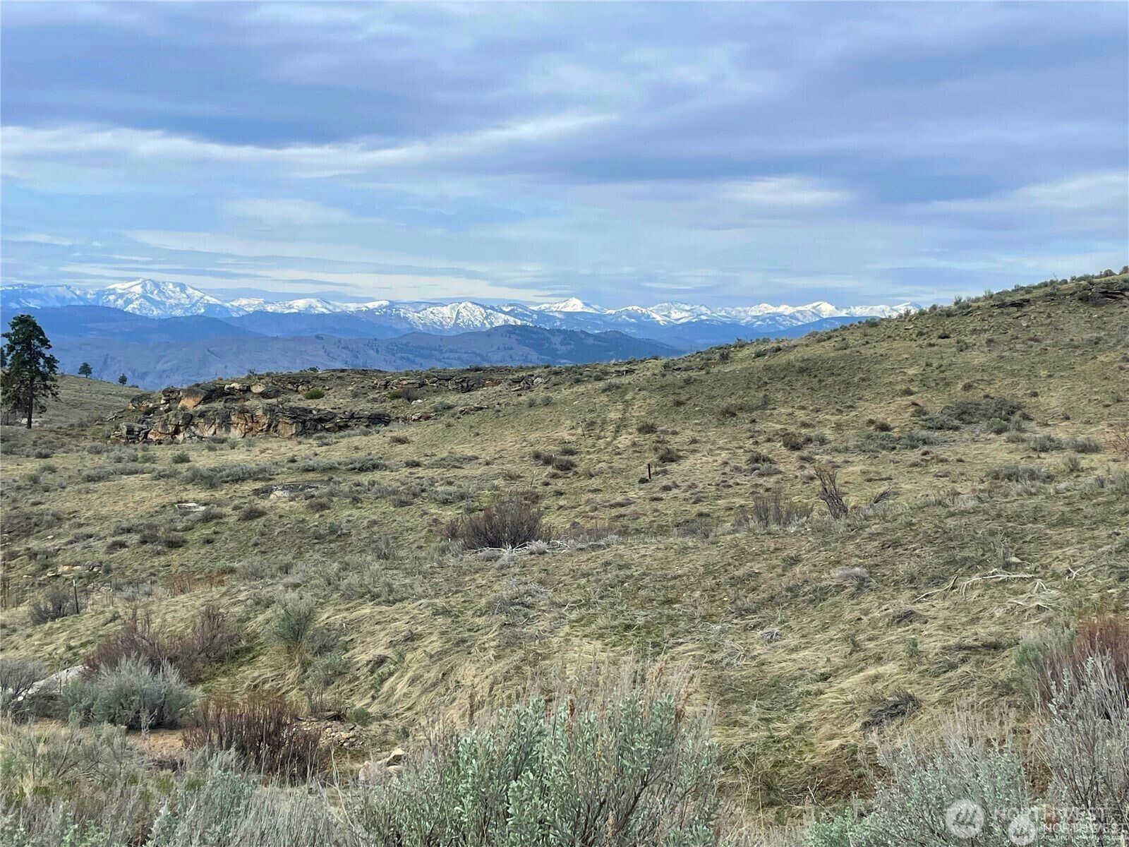 0 McLaughlin Canyon Road Tonasket, WA 98855 - Photo 5 of 8 a view of a sky from a yard