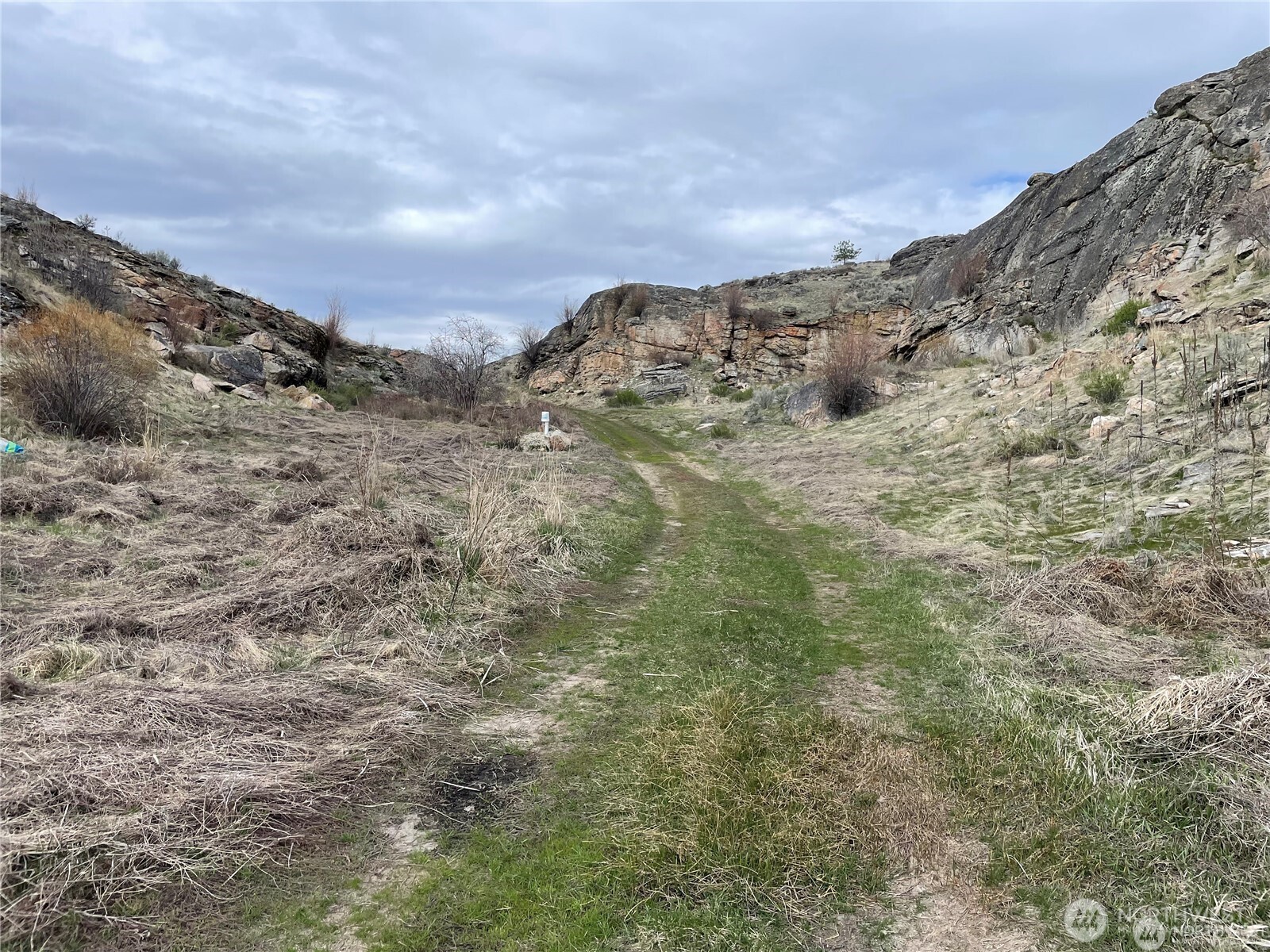 0 McLaughlin Canyon Road Tonasket, WA 98855 - Photo 7 of 8 a view of a dry yard with mountains in the background
