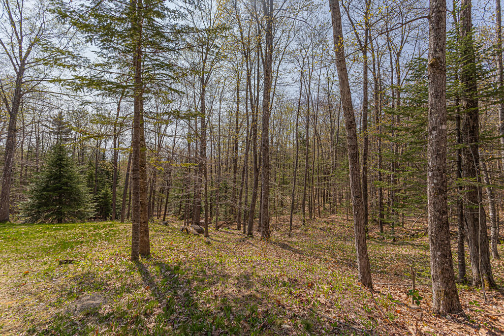 112 Weld Road Phillips, ME 04966 - Photo 39 of 43 photo (15 of 43)