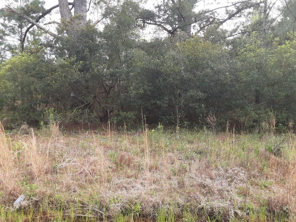 257 Gass Road Cordova, SC 29039 - Photo 2 of 4 Photo 2