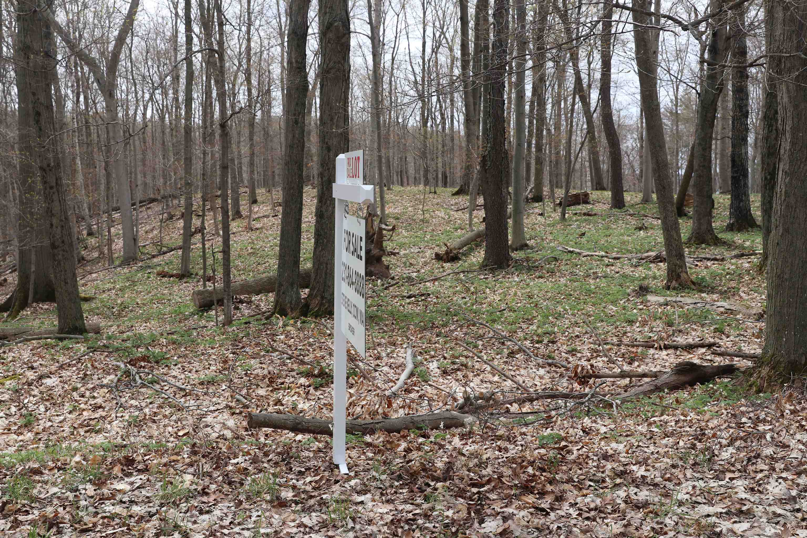 Lot 3 Crystal View Beulah, MI 49617 - Photo 2 of 6 1910438-1.JPG