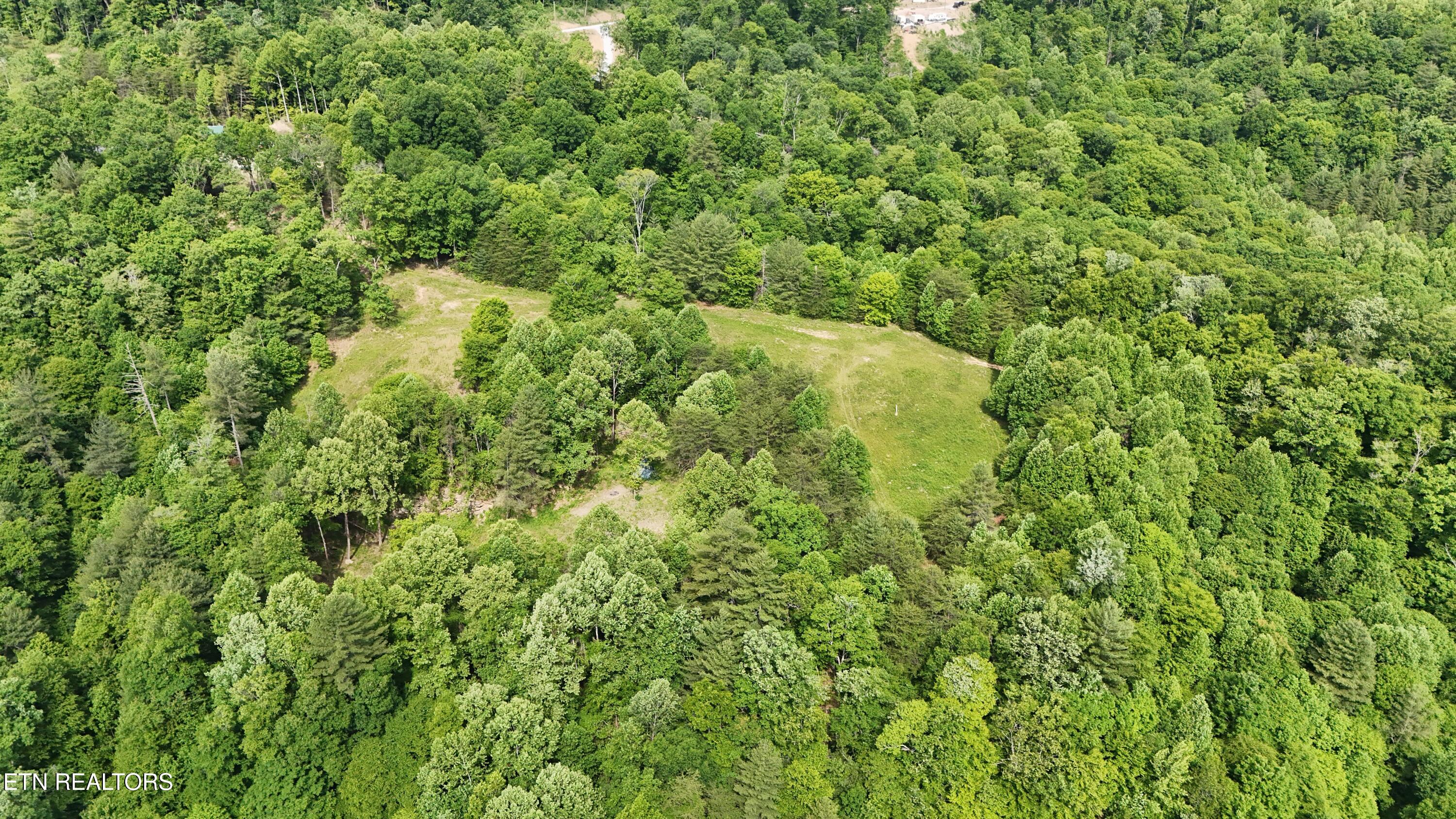 1095 Stanley Creek Road Oneida, TN 37841 - Photo 9 of 57 5sc