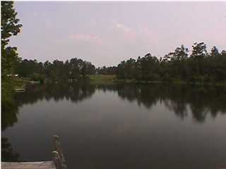 5358 Lowell Mason Road Crestview, FL 32539 - Photo 1 of 4 Primary Photo