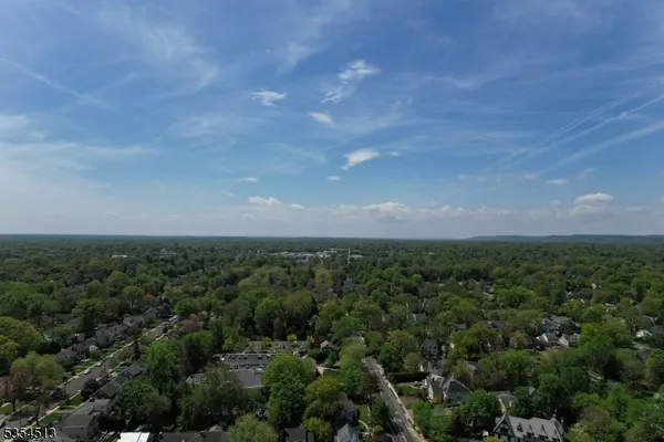 an aerial view of houses covered in trees