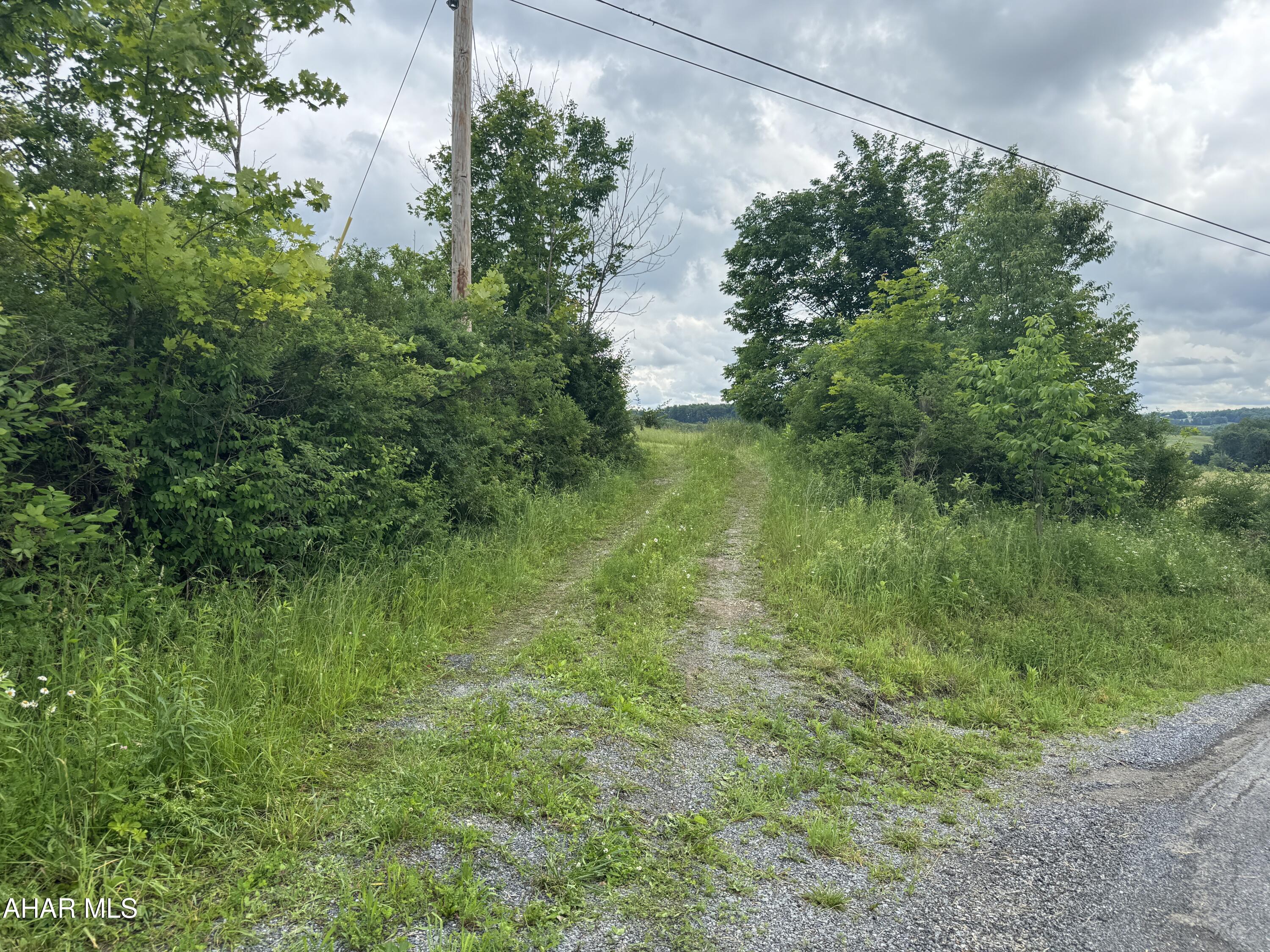 0 Beck Road Loretto, PA 15940 - Photo 5 of 5