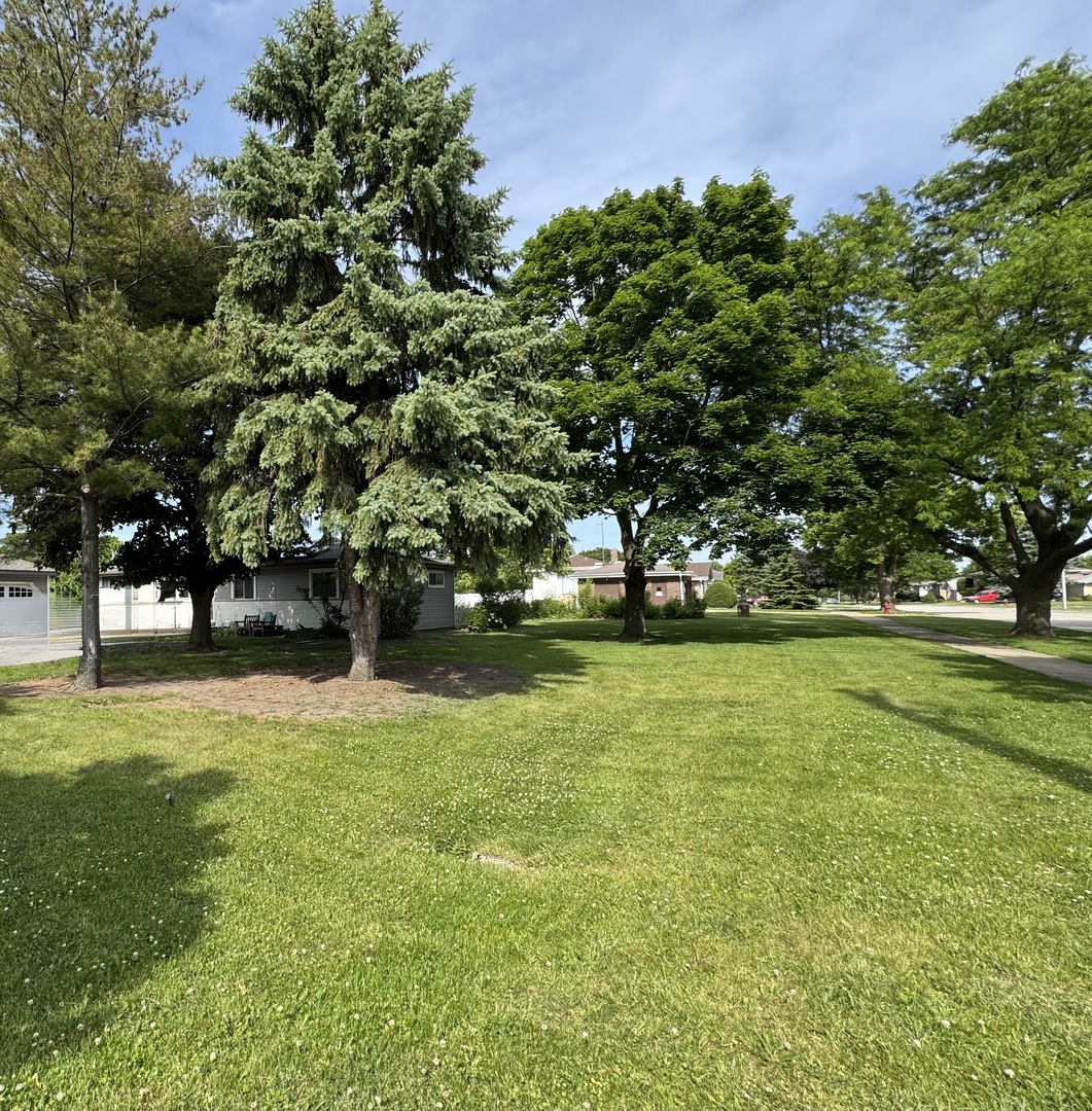 155 North Mill Road Wood Dale, IL 60191 - Photo 5 of 17
