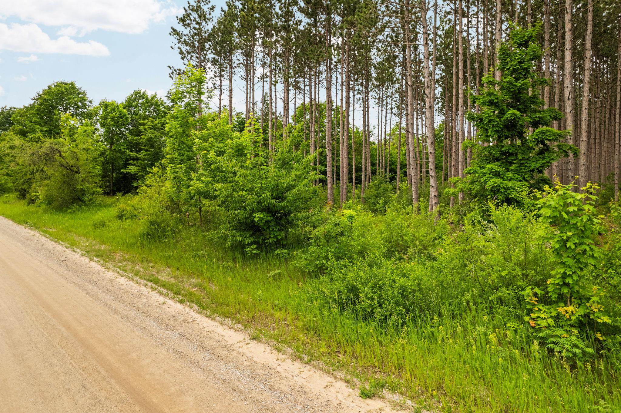Parcel E St Johns Road Interlochen, MI 49643 - Photo 10 of 39