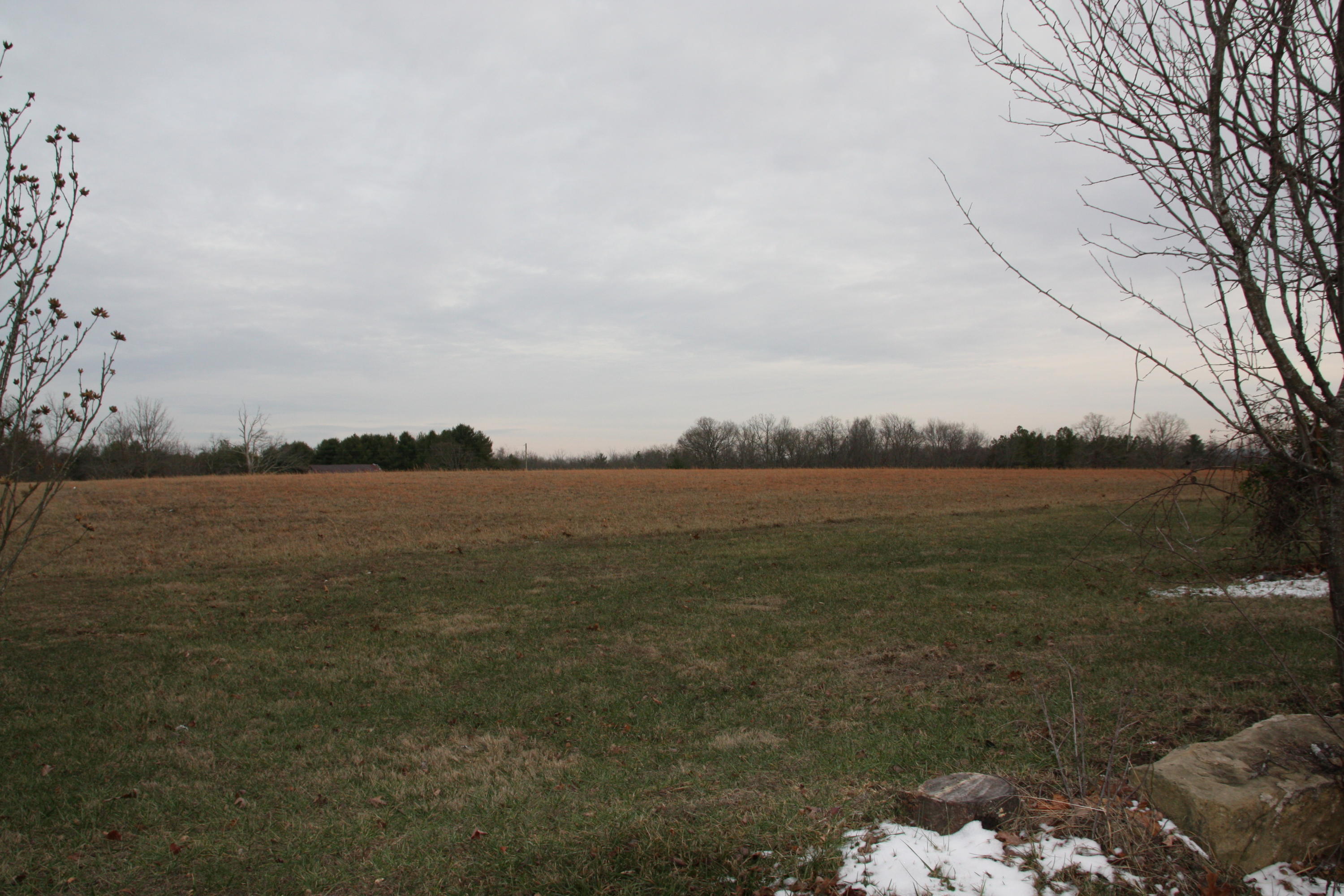 4002 Standing Rock Road Jamestown, TN 38556 - Photo 22 of 24 PASTURE