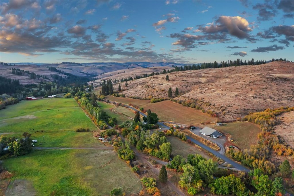 2651 Fruitvale Glendale Road Council, ID 83612 - Photo 23 of 26 Aerial View