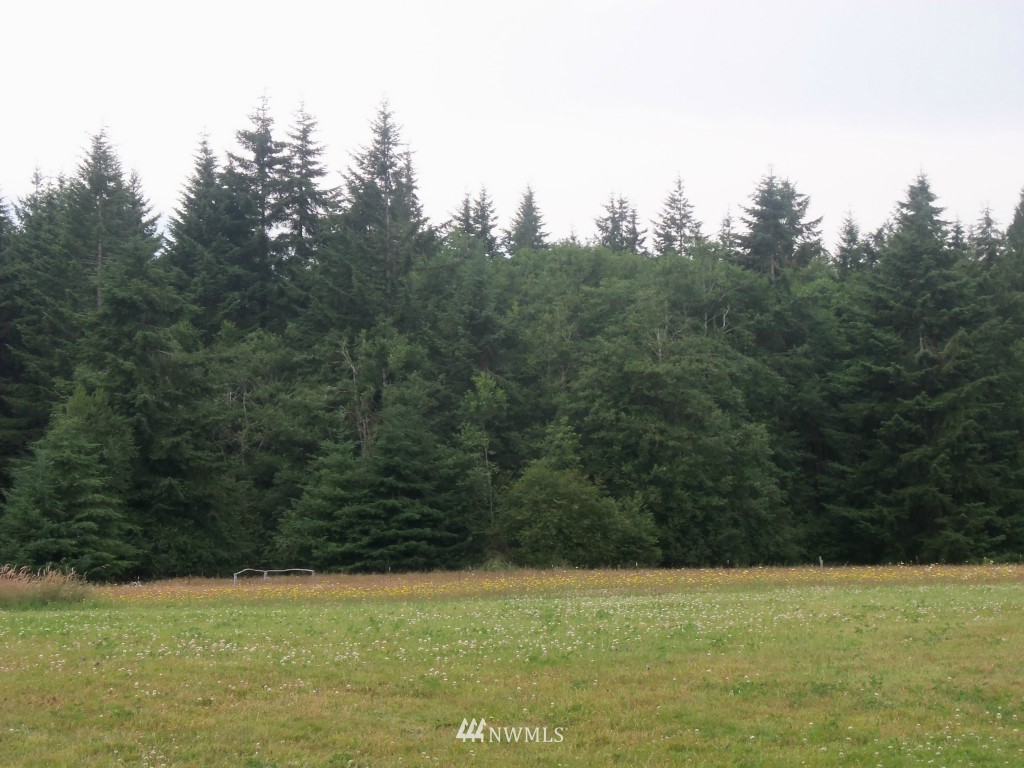 450 Elk Creek Road Chehalis, WA 98532 - Photo 14 of 15
