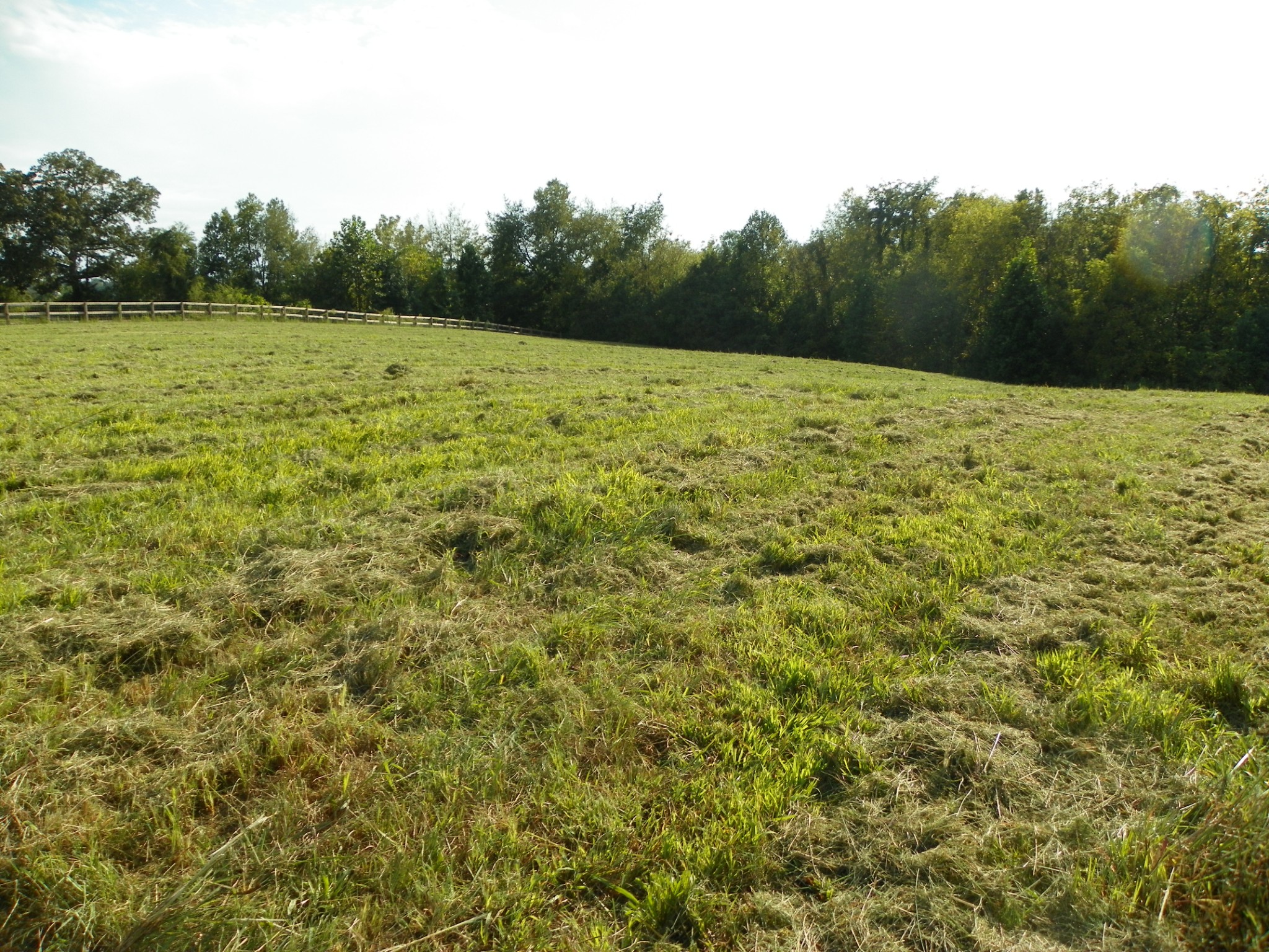 0 South Bunker Hill Road South Sparta, TN 38583 - Photo 2 of 3 a view of a field with an trees