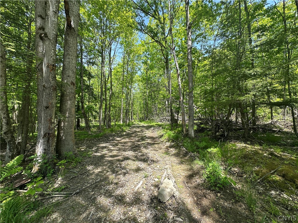 River Road Belmont, NY 14813 - Photo 13 of 23 Gallery Image 13