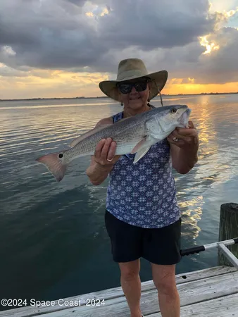 a view of a lake with houses
