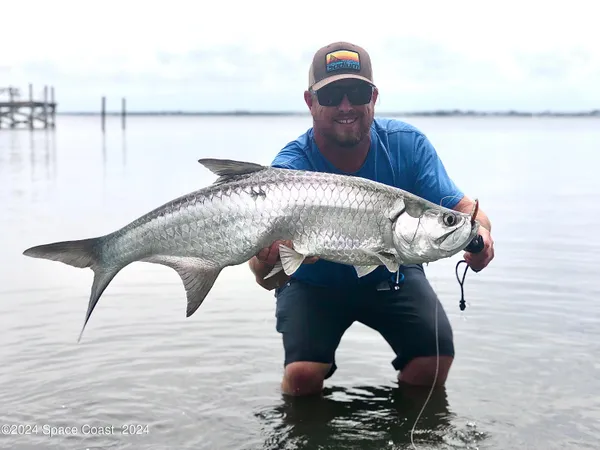 a backyard of a house with a lake view and a table