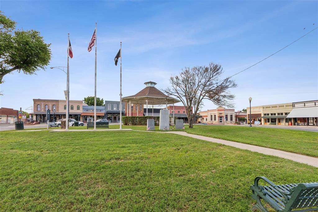 405 West Clifton Street Pilot Point, TX 76258 - Photo 32 of 33 a view of a house with a big yard and palm trees