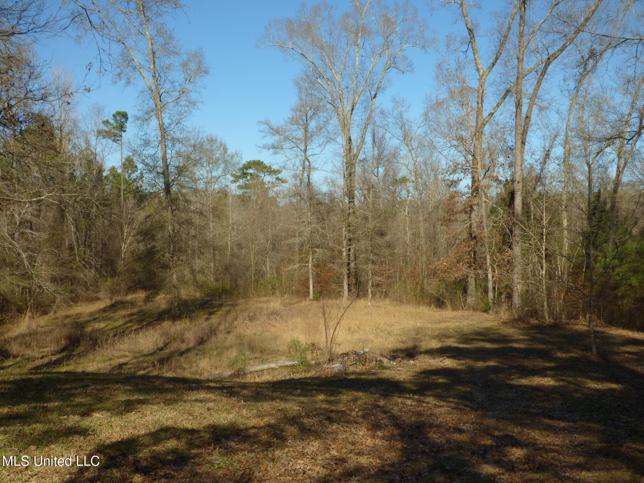 89 Robins Lake Road Natchez, MS 39120 - Photo 13 of 17 P1340172
