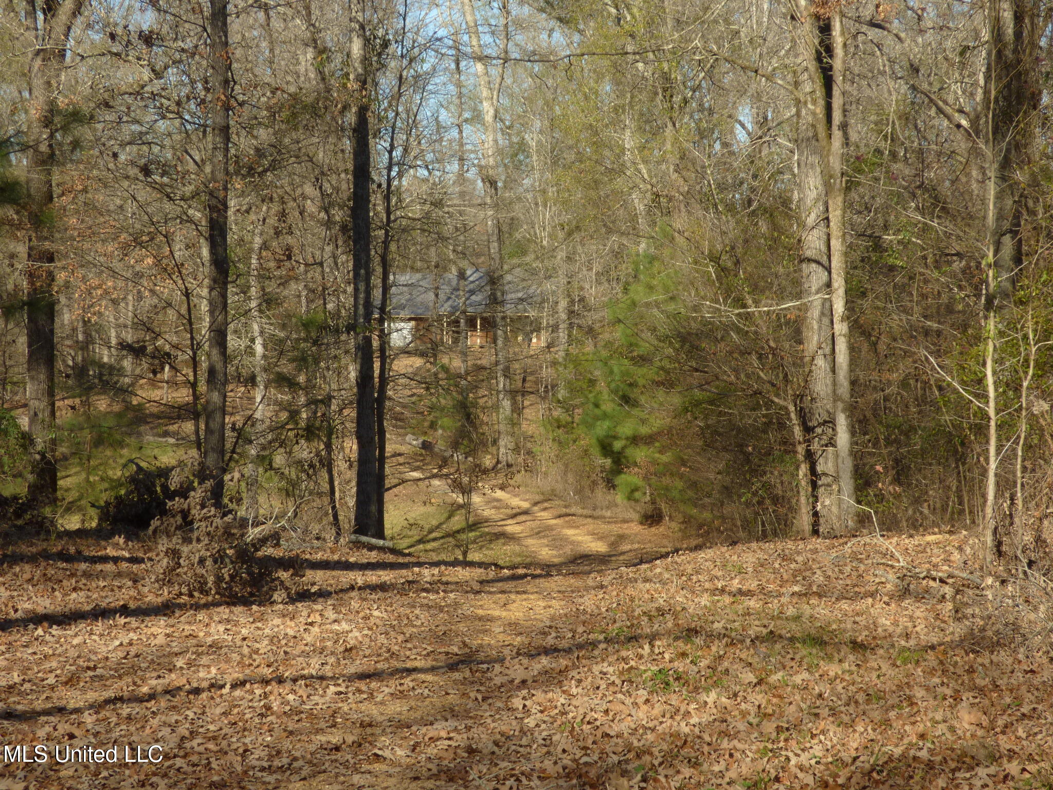 89 Robins Lake Road Natchez, MS 39120 - Photo 15 of 17 P1340161