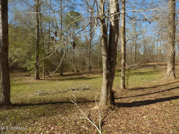 $249,900 | 89 Robins Lake Road, Natchez, MS 39120