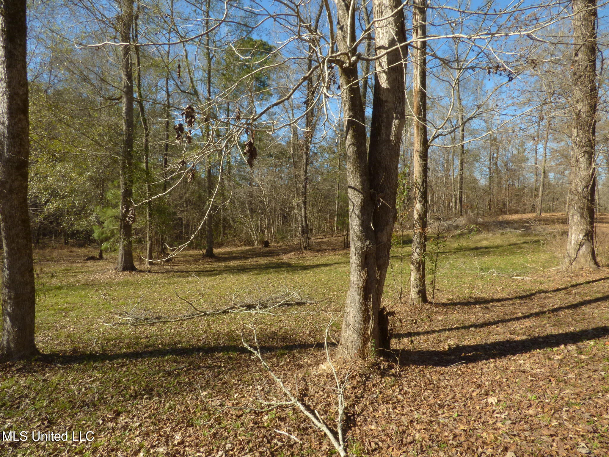 89 Robins Lake Road Natchez, MS 39120 - Photo 16 of 17 P1340163