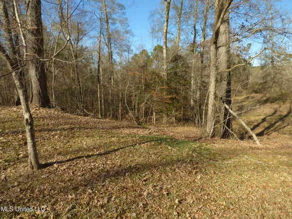 $249,900 | 89 Robins Lake Road, Natchez, MS 39120