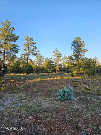 a view of a green field