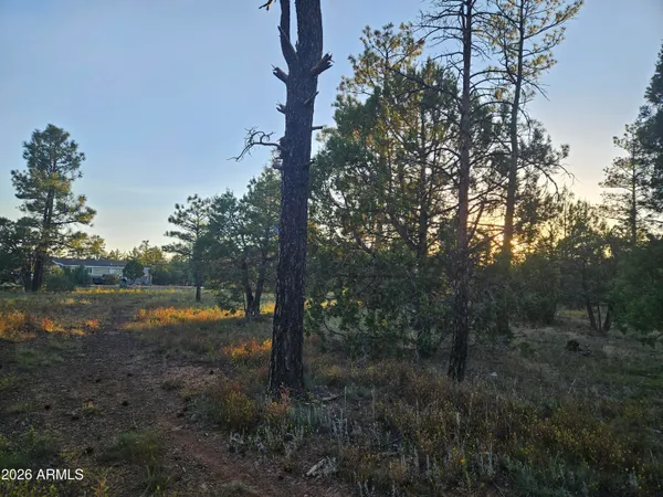 a backyard of a house with lots of green space and lake view