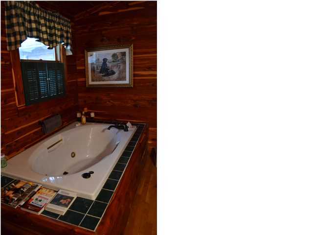 1143 Bluff View Road Dayton, TN 37321 - Photo 12 of 17 Additional Photo