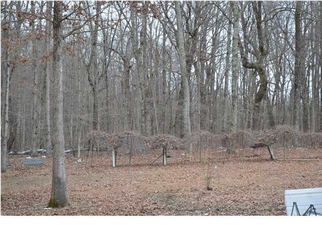 1143 Bluff View Road Dayton, TN 37321 - Photo 6 of 17 Additional Photo