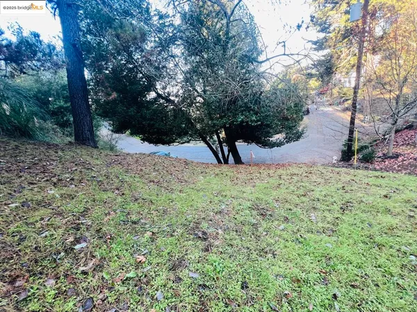 a view of a yard with a tree