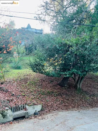 a view of a yard with a tree
