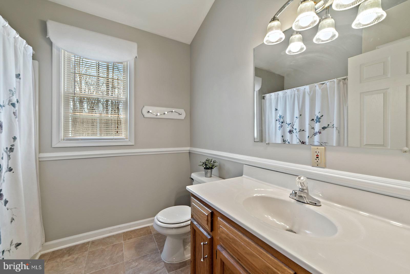 67 Ash Road Louisa, VA 23093 - Photo 30 of 66 Hall Bath with lots of natural light