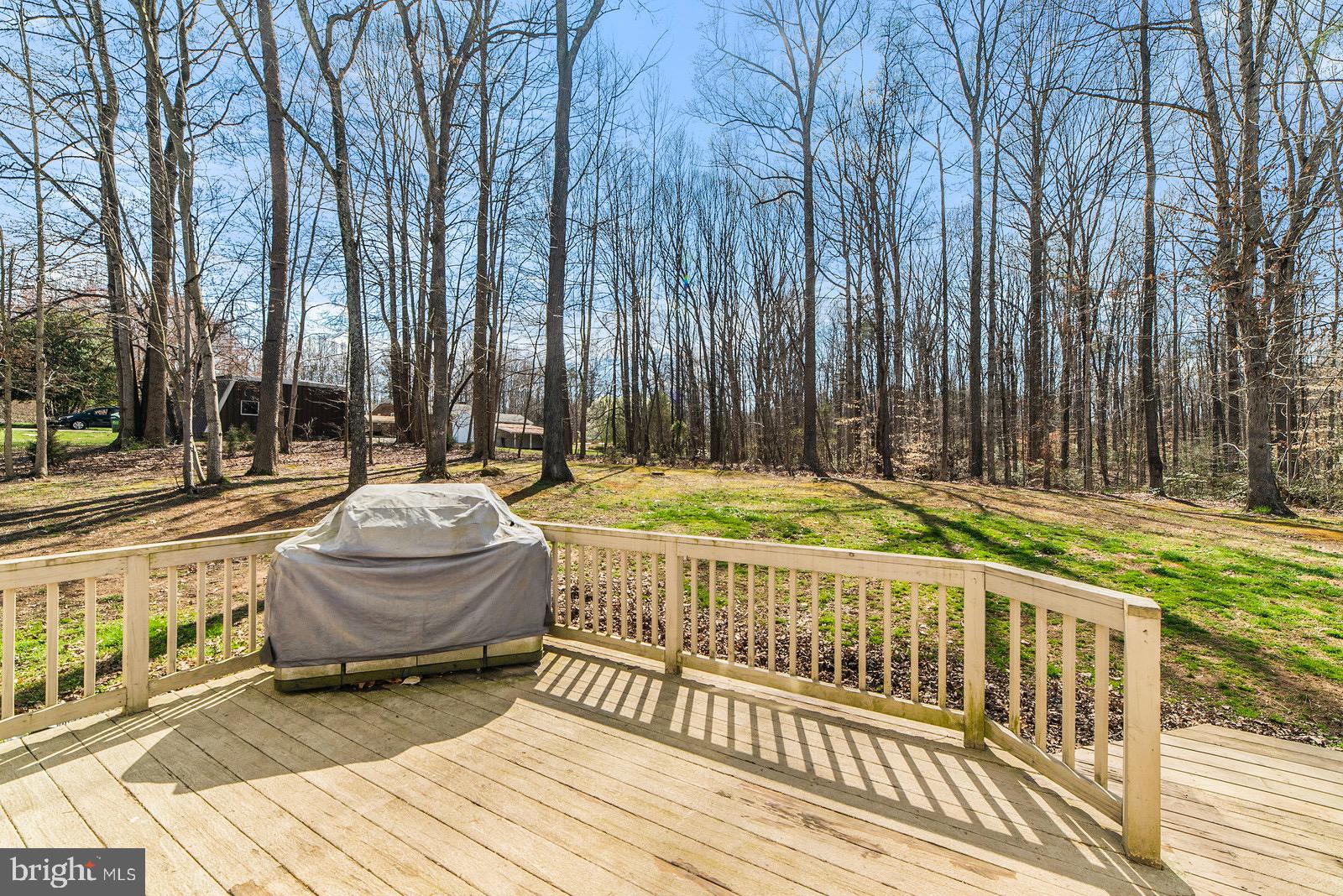 67 Ash Road Louisa, VA 23093 - Photo 35 of 66 Deck with view of backyard
