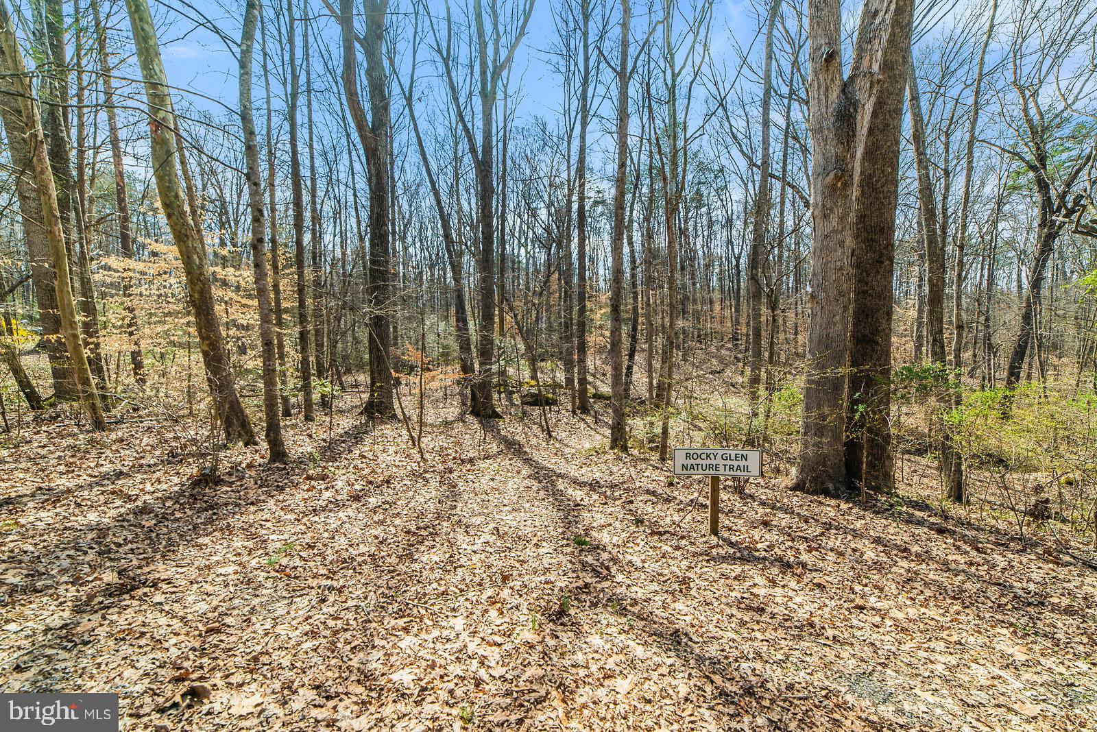 67 Ash Road Louisa, VA 23093 - Photo 43 of 66 Community Walking trails